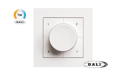 DALI TW SWITCH